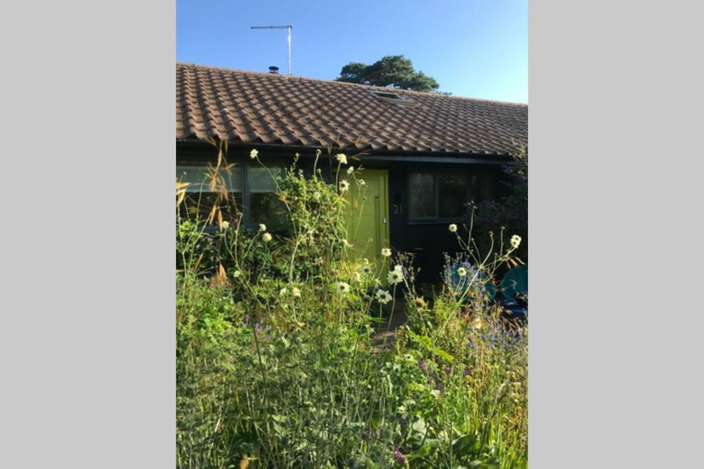 The Yellow Door Whitstable - Peaceful Retreat Close To Beach 외부 사진
